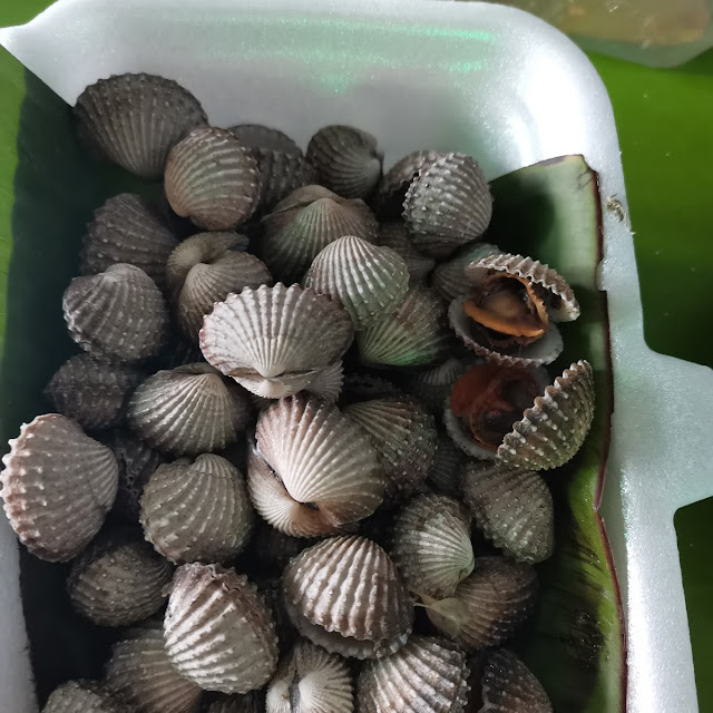 Kerang Rebus