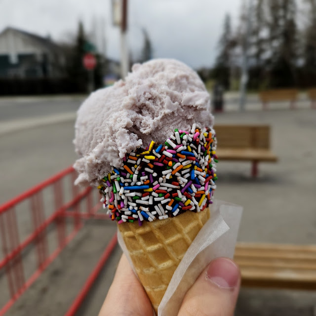 Saskatoon Berry Ice Cream
