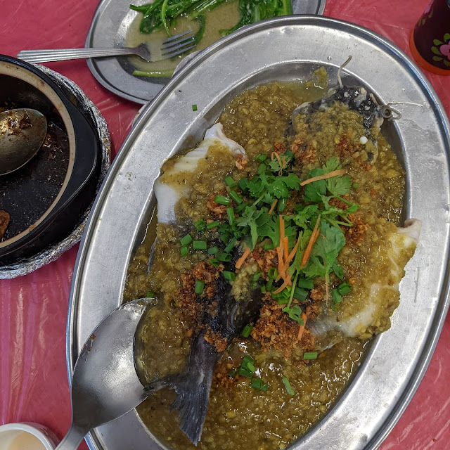 Teochew Steam Red Malabar Fish