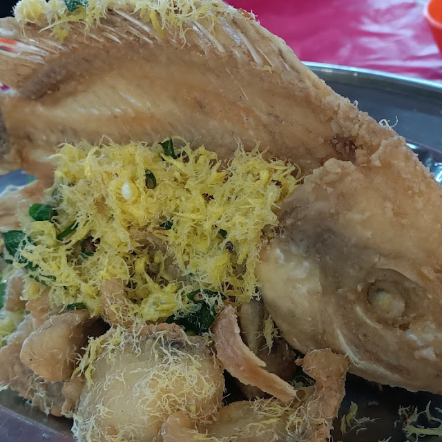奶油非洲鱼