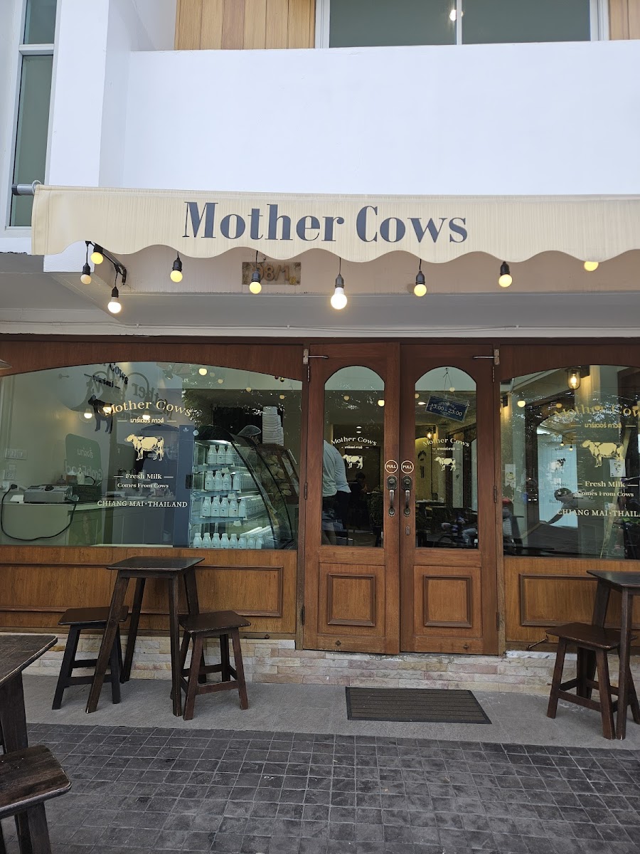 Mother Cows เชียงใหม่