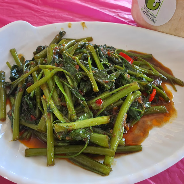 Kangkung