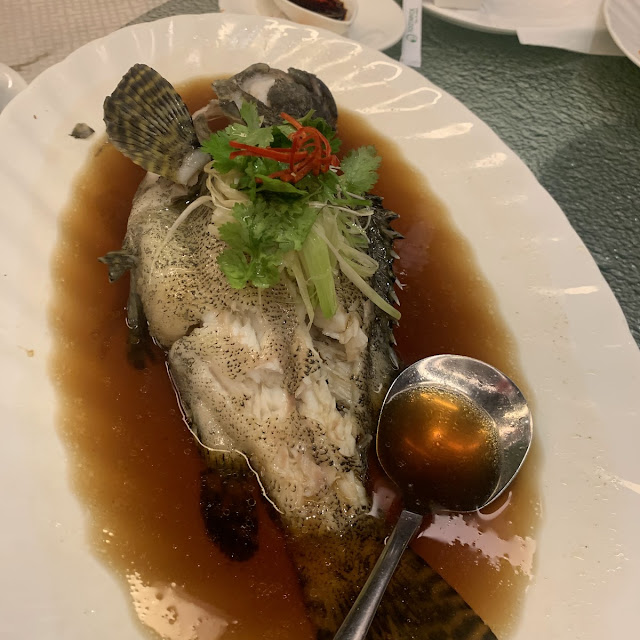 Kerapu Macan