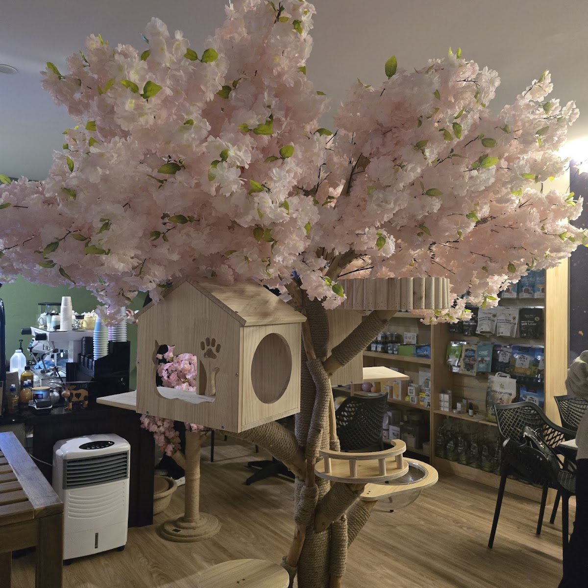 Pkp Cat Cafe & Pet Grooming
