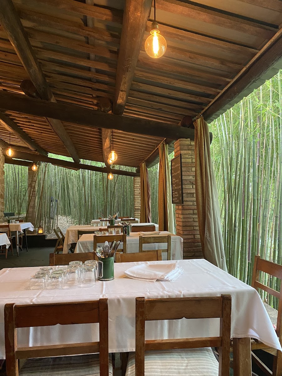Comedor Verdor