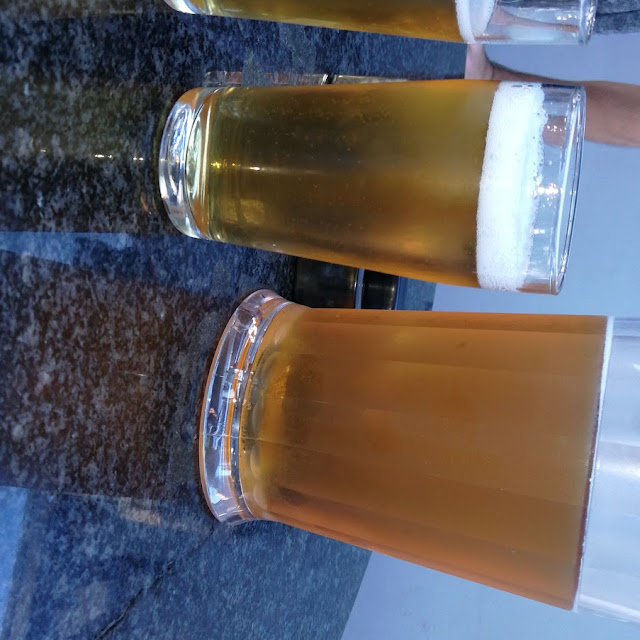Windhoek Draught