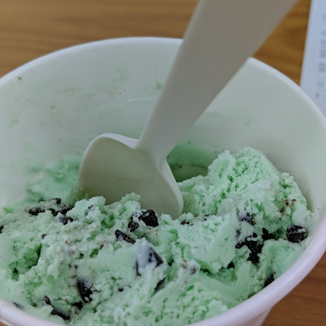 Mint Chip Ice Cream