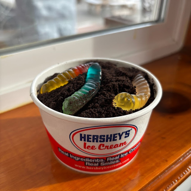 Kids' Dirt Cup