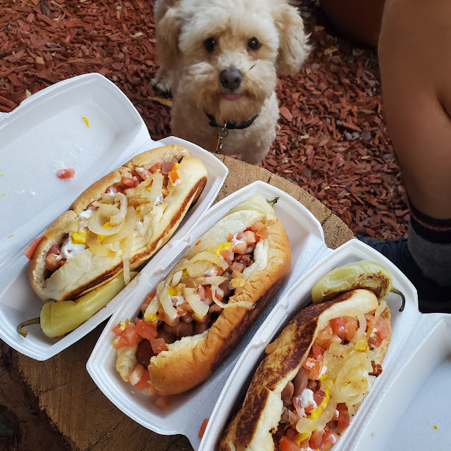 Hotdog Chipilon Especial Carne Asada