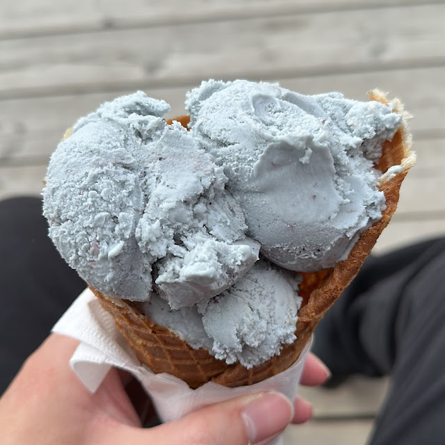 Blueberry Bliss Ice Cream