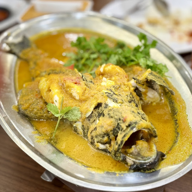 Kerapu Tim Nyonya
