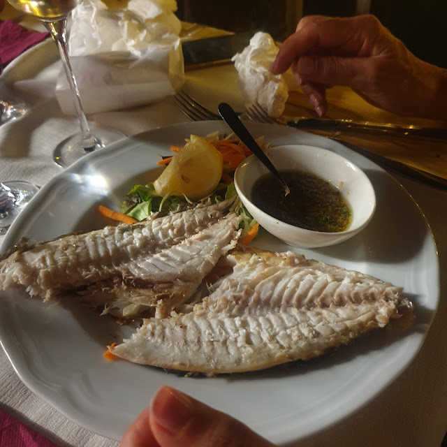 Orata