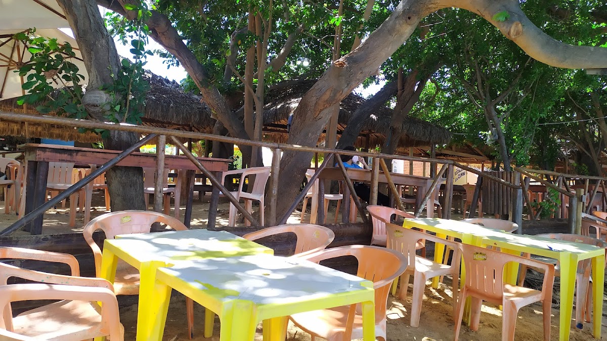 Canto do Gato