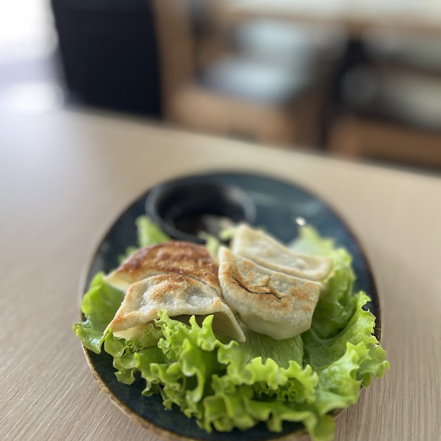 Fried Dumplings