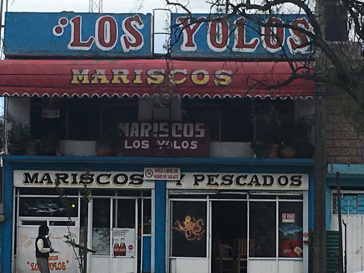 Los Yolos
