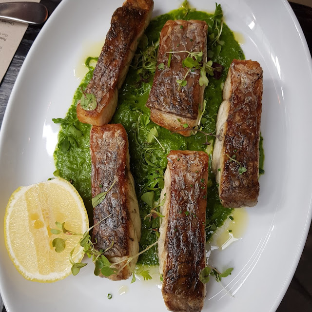Barramundi
