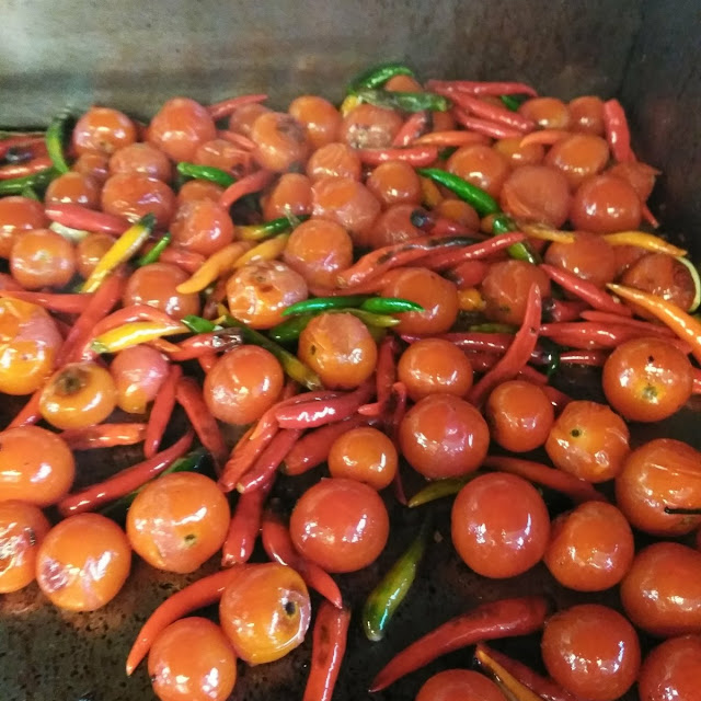 Habanero