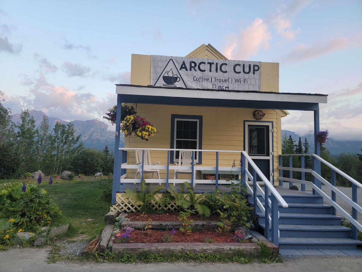 Arctic Cup