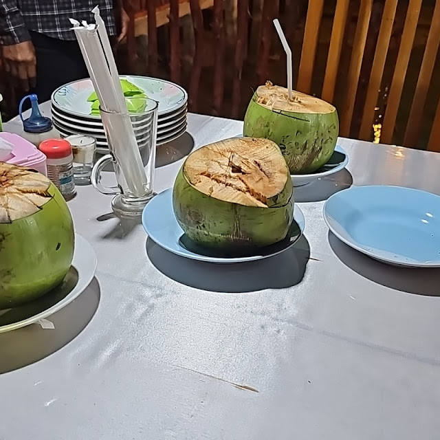 Kelapa Muda