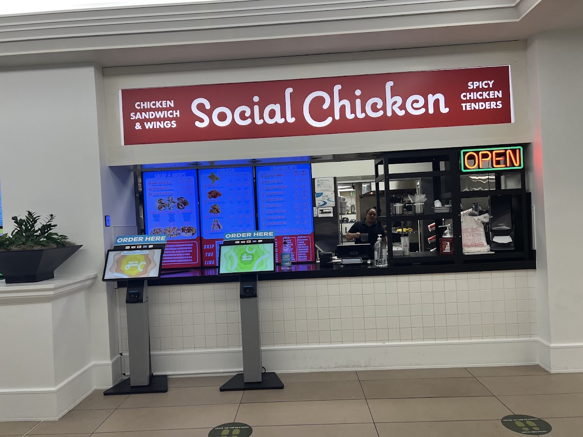 Social Chicken