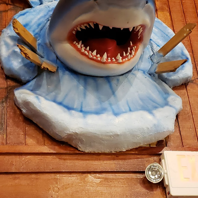 Shark