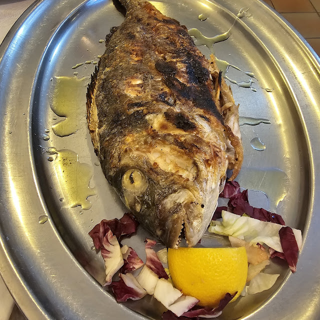 Orata Alla Griglia Pescato Del Giorno