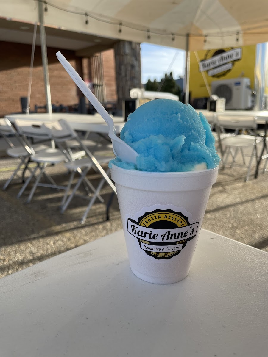 Karie Anne's Frozen Dessert Layton