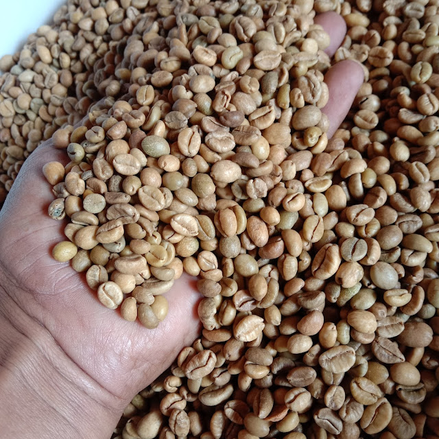 Suplayer Biji Kopi Terlengkap