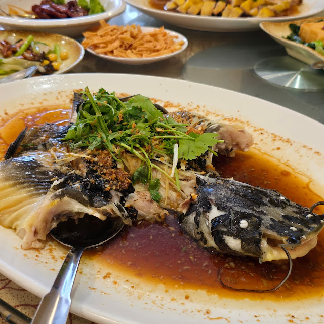 Steamed King Grouper w' Soy Sauce