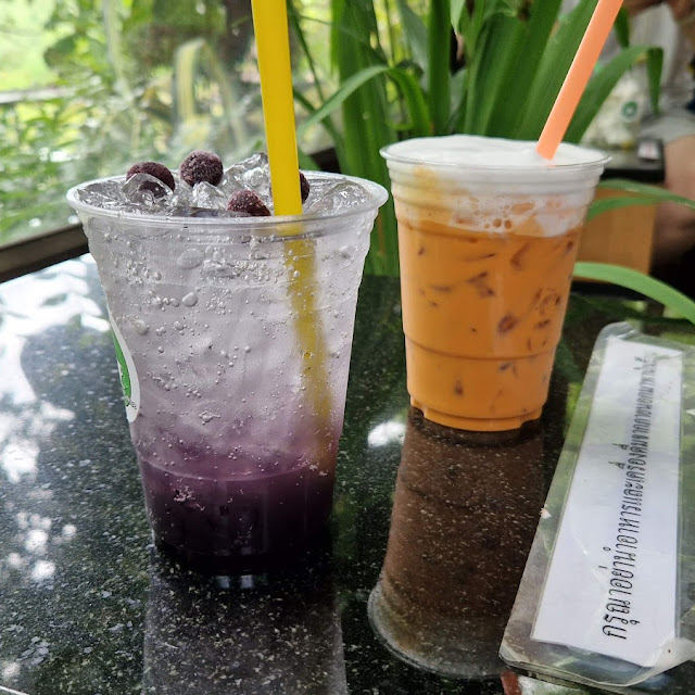 Blueberry Soda