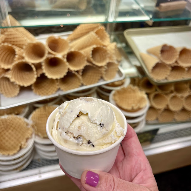 Chocolate Chip Cookie Dough Ice Cream