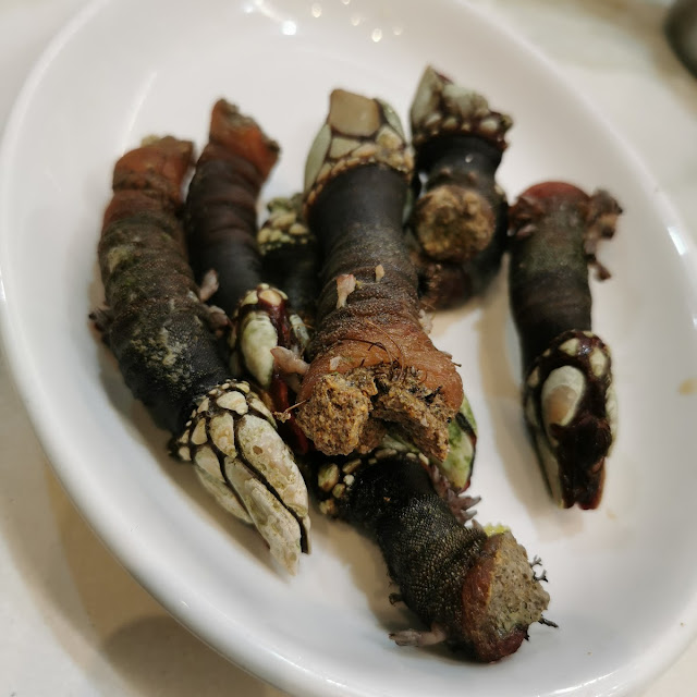 Percebes