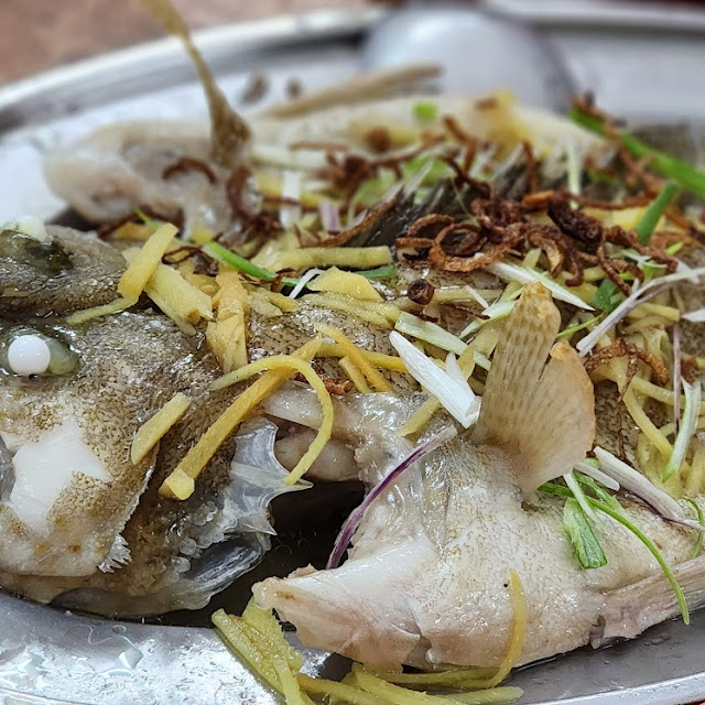 Kerapu Stim Halia